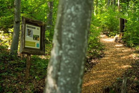 V Šentvidu pri Stični kmalu doživljajski Park Cukarca 6